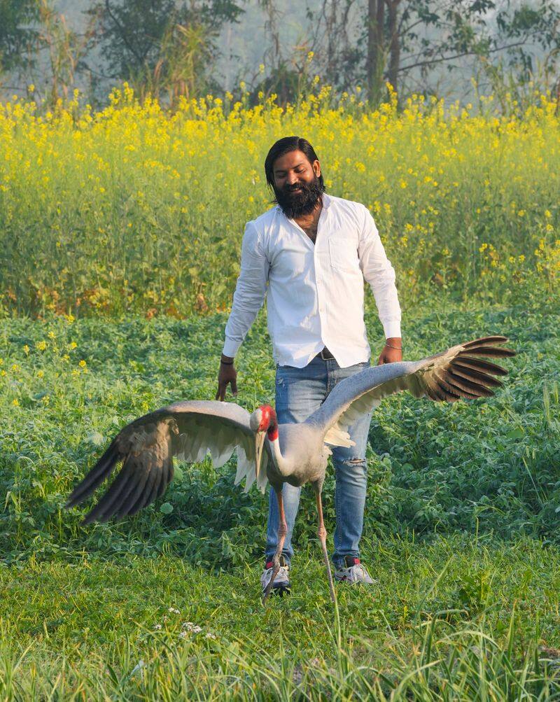 Emotional end to story of Arif Khan Gurjar and the sarus crane