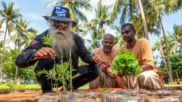 Plantation of 11 crore saplings completed of Cauvery Calling Movement grg 