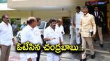 Chandrababu and TDP MLAs casts vote in AP MLC Elections AKP