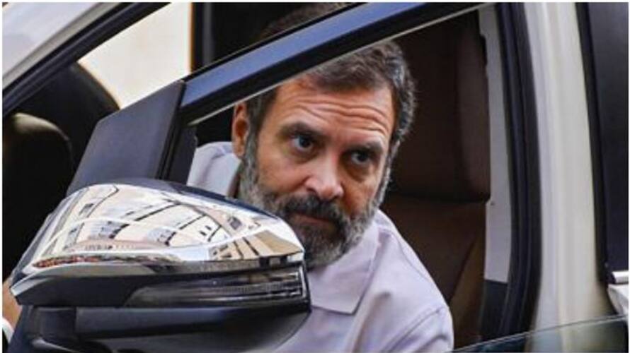 will rahul gandhi be disqualified as MP, decision is in the hands of speaker kms will rahul gandhi be disqualified as MP, decision is in the hands of speaker kms