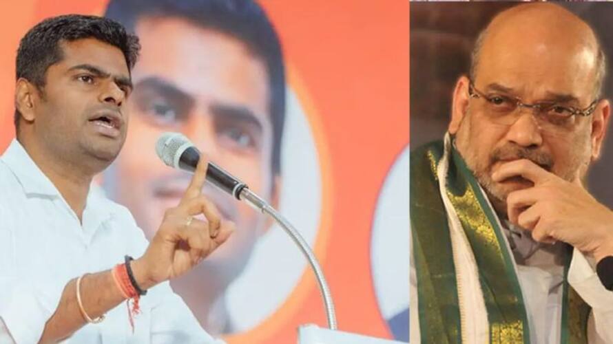 What did Annamalai talk to Amit Shah? The information he himself said What did Annamalai talk to Amit Shah? The information he himself said