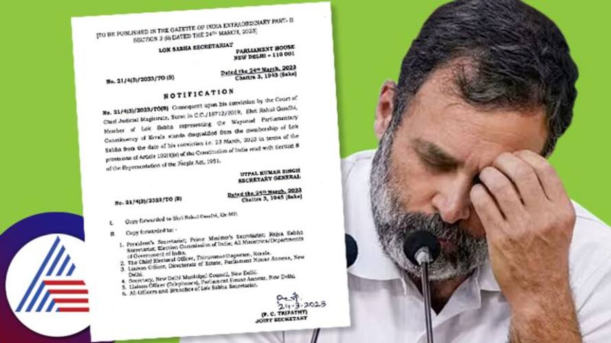 Indian democracy is officially declared dead today Opposition leaders slam BJP for Rahul Gandhi's disqualification Indian democracy is officially declared dead today Opposition leaders slam BJP for Rahul Gandhi's disqualification