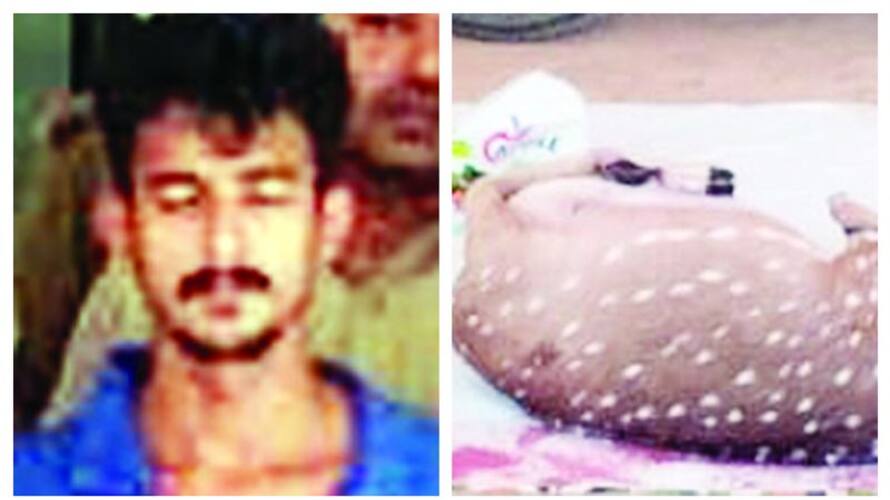 deer hunting One arrested in Malappuram fvv deer hunting One arrested in Malappuram fvv