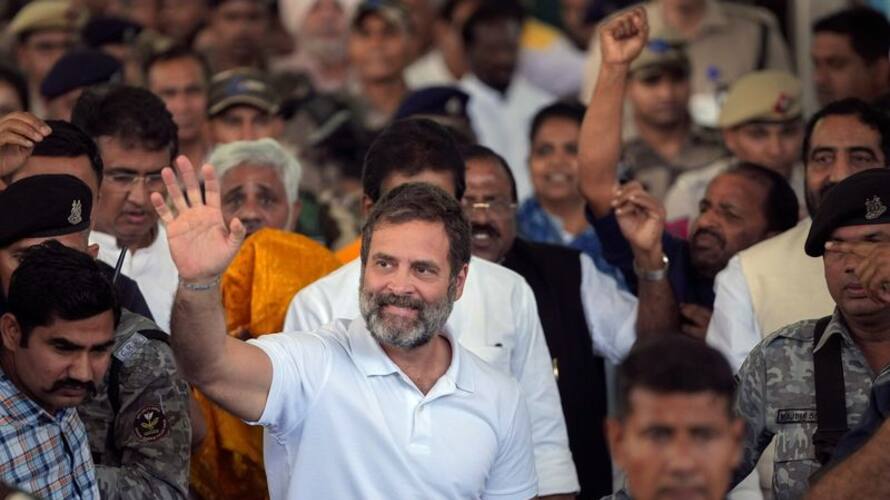 Explained What are Rahul Gandhi legal options Can EC hold bypoll in Wayanad Explained What are Rahul Gandhi legal options Can EC hold bypoll in Wayanad