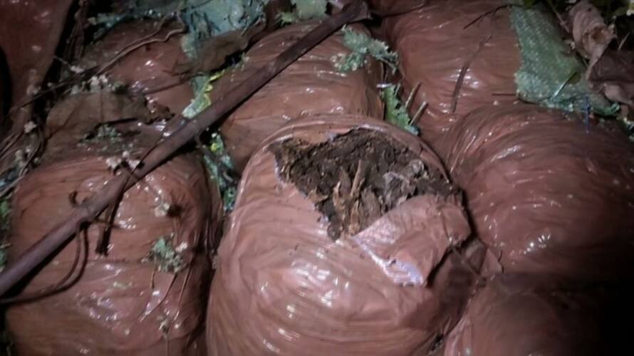 cannabis found abandoned in Thrissur jrj cannabis found abandoned in Thrissur jrj