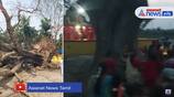 temple tree cutting video goes viral in vellore