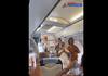 Oscar winner 'The Elephant Whisperers': Airline passengers praised couple who are elephant caretakers!
