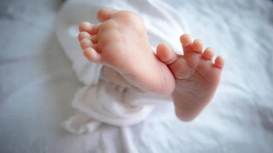 women arrest who kidnapped baby in tirupur govt hospital women arrest who kidnapped baby in tirupur govt hospital