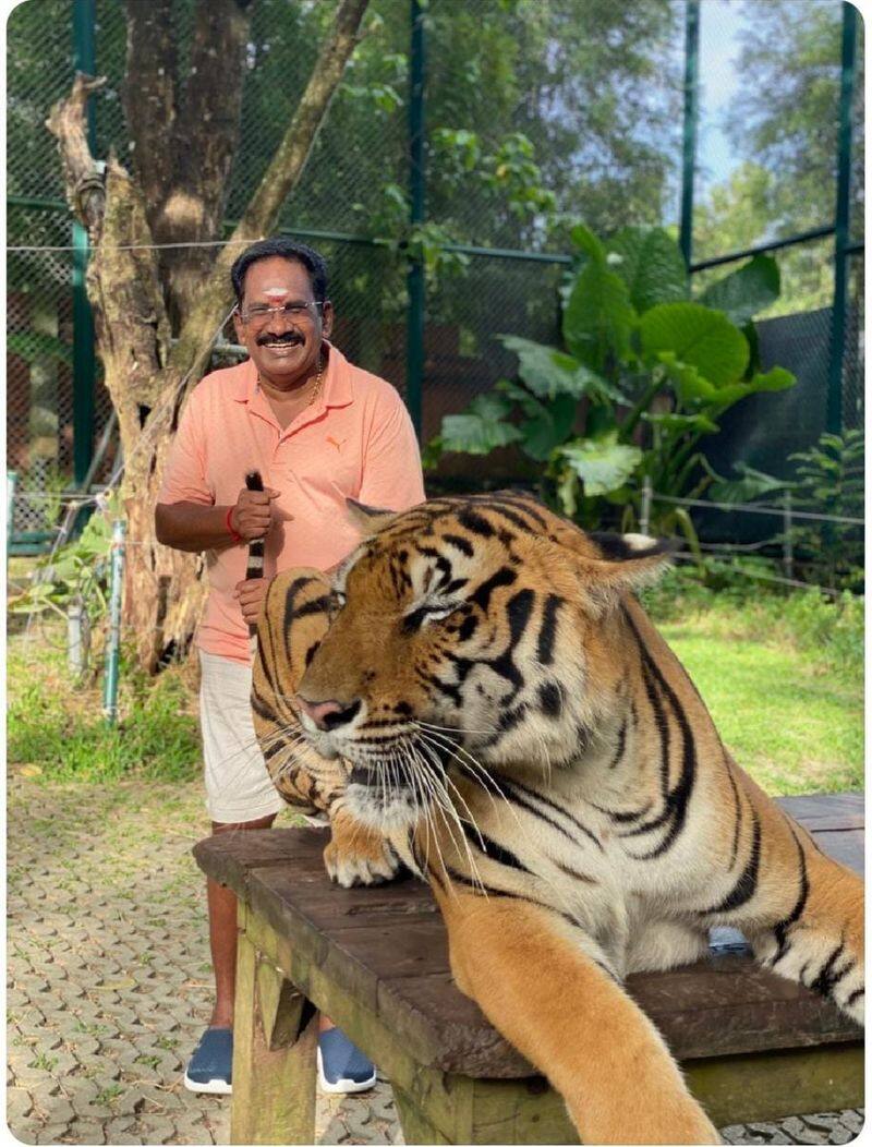 Minister Thangam Tennarasu said that he was shocked to see Sellur Raju holding the tiger tail