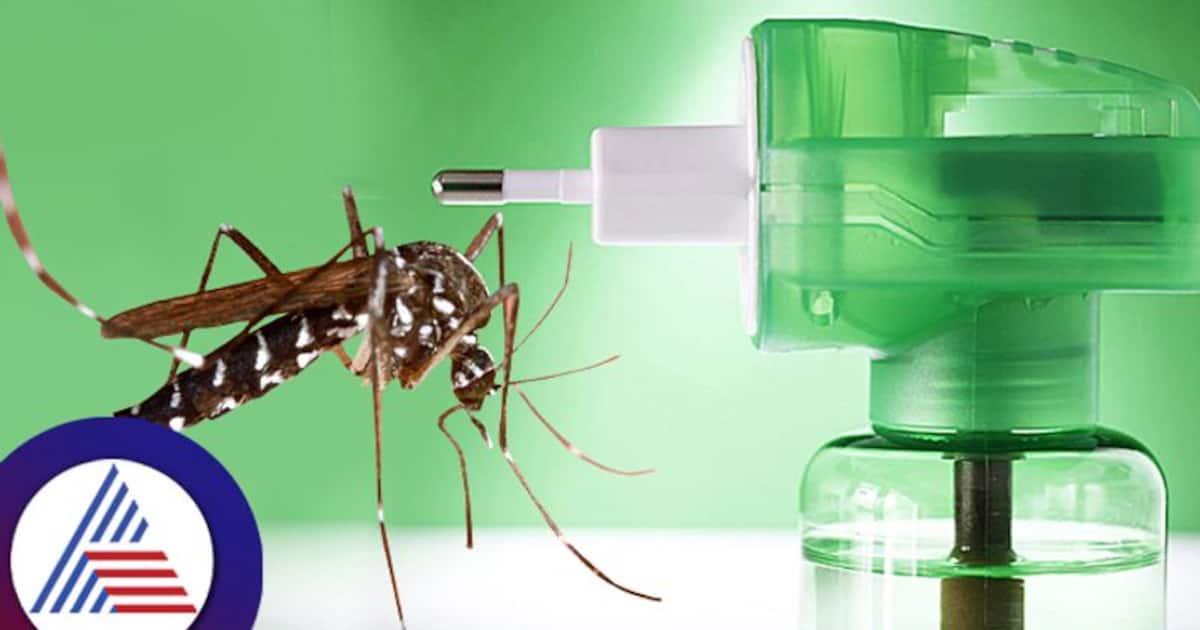 షాకింగ్ ఇంట్లో దోమల మందు బాటిల్ పేలి.. ఊపిరాడక నలుగురు మృతి...