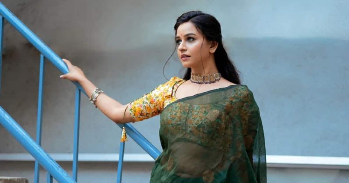 இடுப்பில் கைவைத்து சில்மிஷம் செய்தவருக்கு; பளார்.. பளார்னு அறைவிட்டு கன்னத்தை பழுக்க வைத்த பாக்யலட்சுமி நடிகை