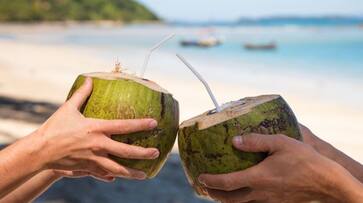 green tea or coconut water can act like natural sunscreen hyp green tea or coconut water can act like natural sunscreen hyp