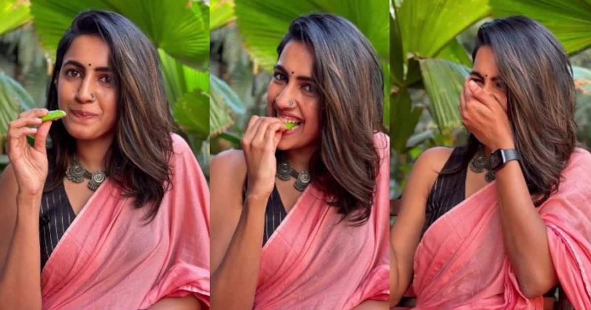 నిహారిక గర్భవతా ?.. ఆ పోస్ట్ కి అర్థం ఏంటి అంటూ నెటిజన్ల కామెంట్స్