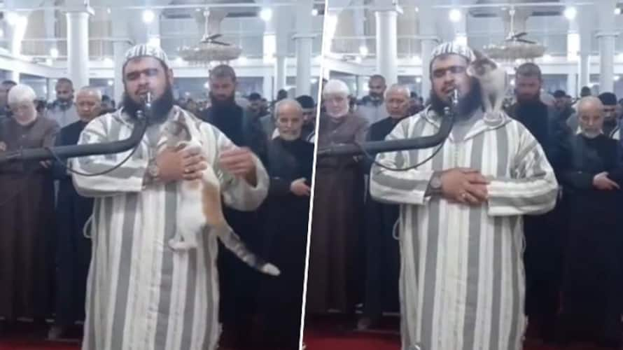 Ramadan 2023 Cat Jumps On Imam During Live Broadcast Of Prayers In Algeria Video Goes Viral