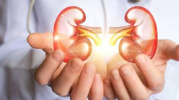 superfoods that can lower risk of kidney disease-rse- superfoods that can lower risk of kidney disease-rse-