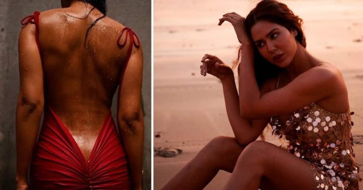 Sonam Bajwa Hot And Sex - Sonam Bajwa RACY Photos: Punjabi actress elevates heat on Instagram with  sizzling outfits; see pics