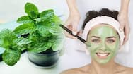 beauty tips mint leaves face pack for pimples and black marks on face in tamil mks