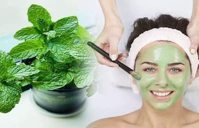 beauty tips mint leaves face pack for pimples and black marks on face in tamil mks