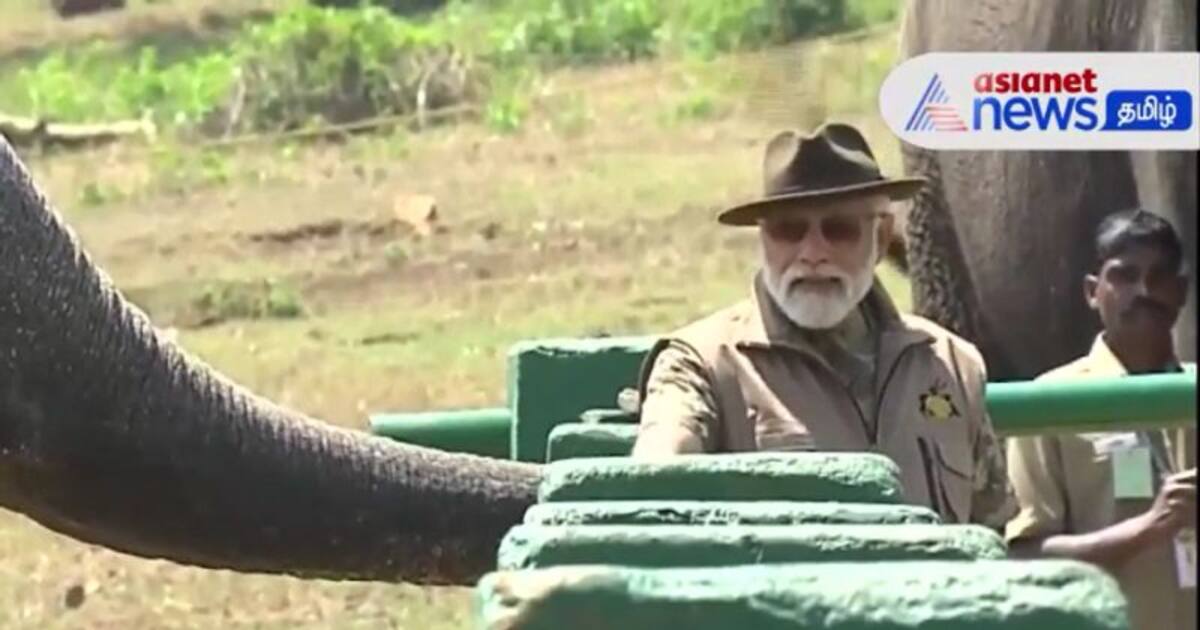 முதுமலையில் யானைகளுக்கு உணவளித்த பிரதமர் மோடி