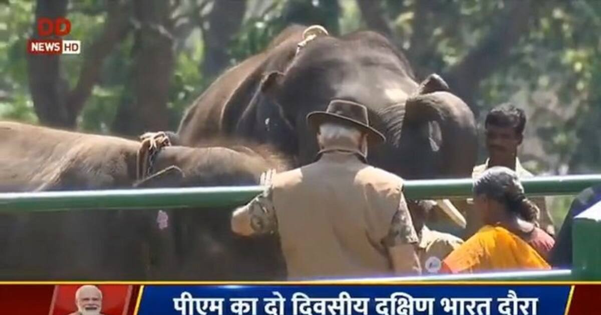 பொம்மன் - பெள்ளி பாகன் தம்பதியைச் சந்தித்த பிரதமர் மோடி