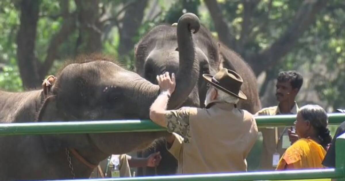 Watch : ‘ஆஸ்கர் ஜோடி’ பொம்மன் - பெல்லியை நேரில் சந்தித்த பிரதமர் மோடி