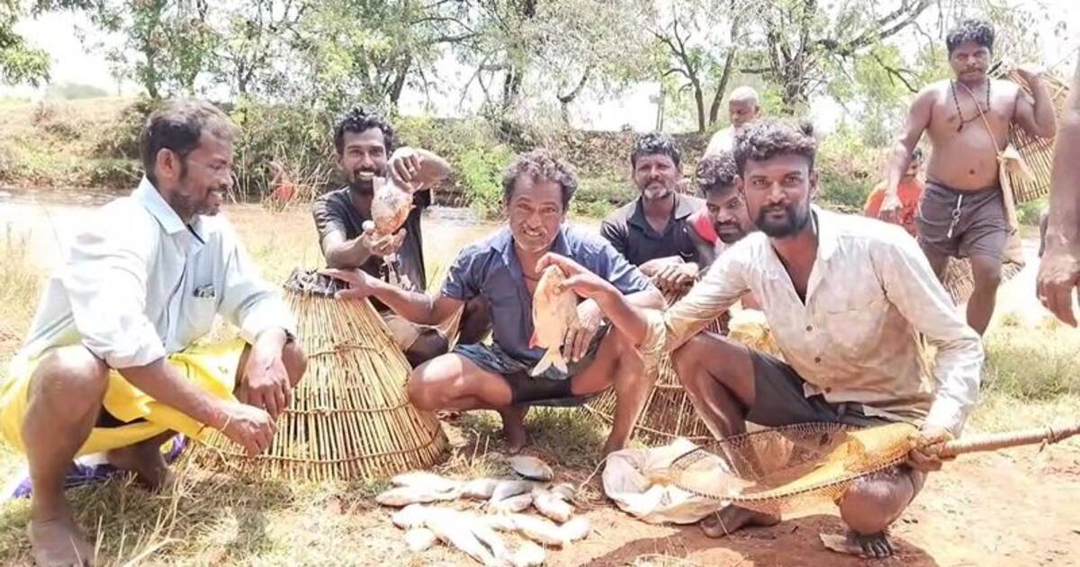 புதுக்கோட்டையில் போட்டி போட்டு மீன்களை அள்ளிய கிராம மக்கள்