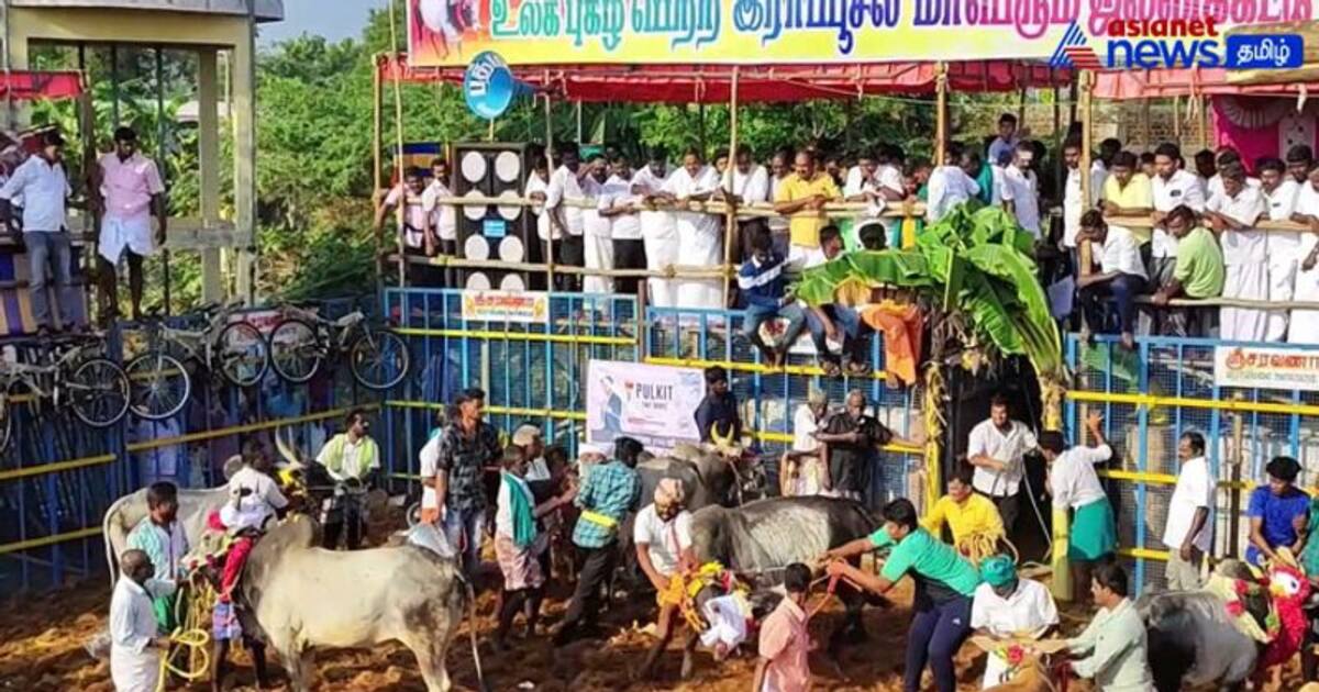 Watch : ராப்பூசல் கோவிலில் பங்குனித் திருவிழா! ஜல்லிக்கட்டு விழாவுடன் கோலாகலம்!
