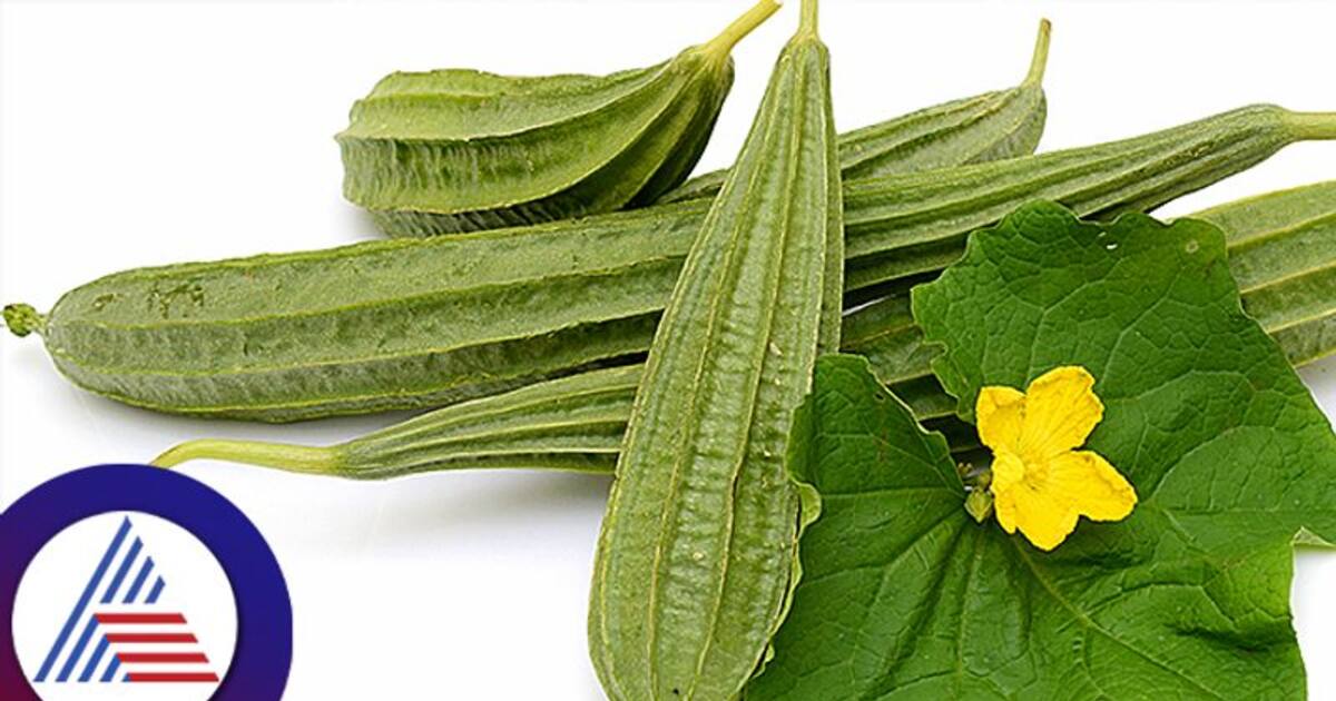 பீர்க்கங்காய் - சத்துக்களின் சூப்பர் ஸ்டார்! இத்தனை மருத்துவ குணங்களா!