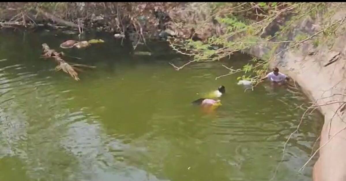 கோவையில் கடன் தொல்லை தாங்காமல் வயதான தம்பதி தற்கொலை