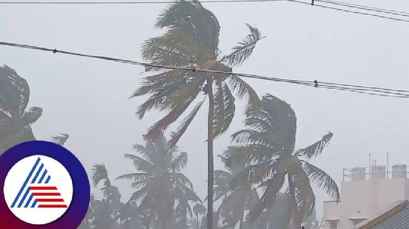 Cyclone Mocha will make landfall near Bangladesh Myanmar on 12th