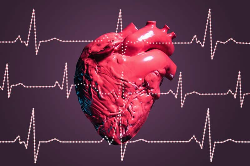 World Heart Day 2023: Unmasking gender disparities in heart disease diagnosis and treatment RBA