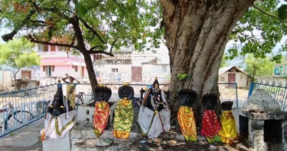 WATCH : அரசமரத்தில் தோன்றிய விநாயகர் கண்கள் - திருச்சி அருகே கோவிலில் வினோத சம்பவம்