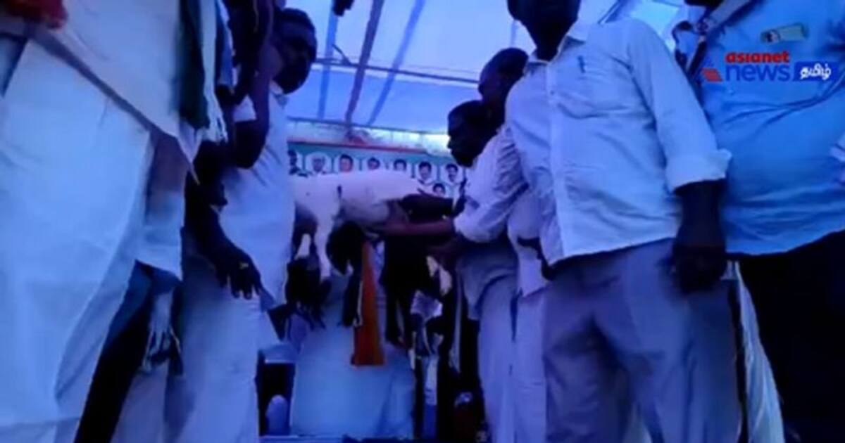 Watch : கர்நாடக தேர்தல் 2023 : முன்னாள் பிரதமர் தேவகவுடாவுக்கு ஆடு ஒன்றை பரிசளித்த கடகொள்ள சமூக தலைவர்!