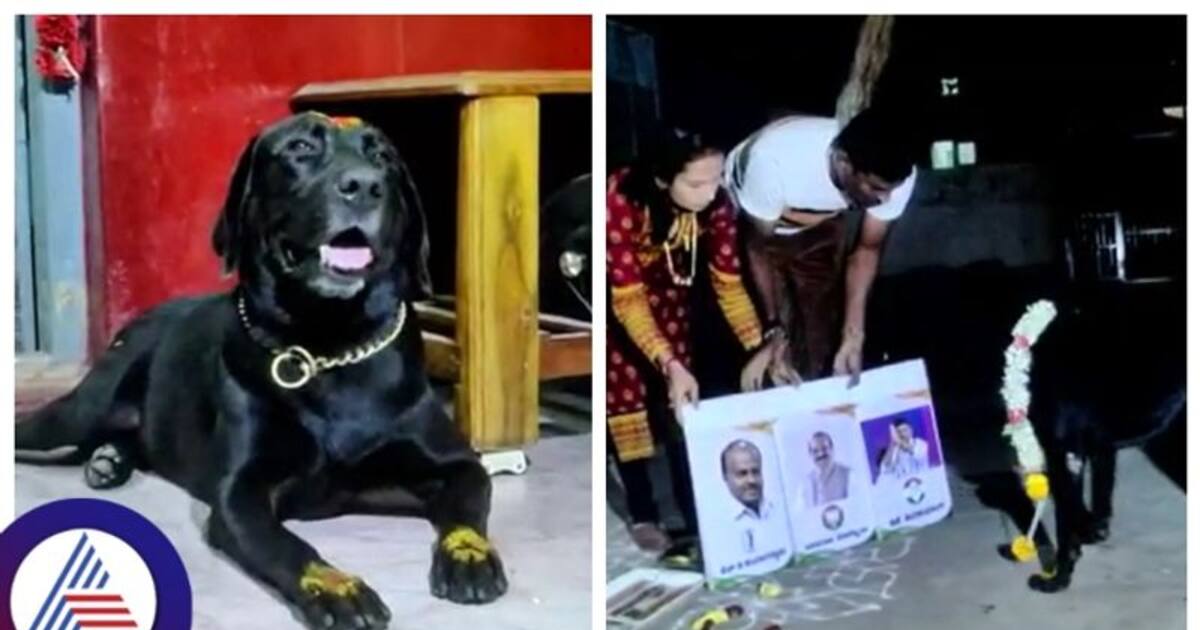 கர்நாடகாவின் அடுத்த முதலமைச்சர் யார்..? நாயின் கணிப்பு உண்மையாகுமா..?