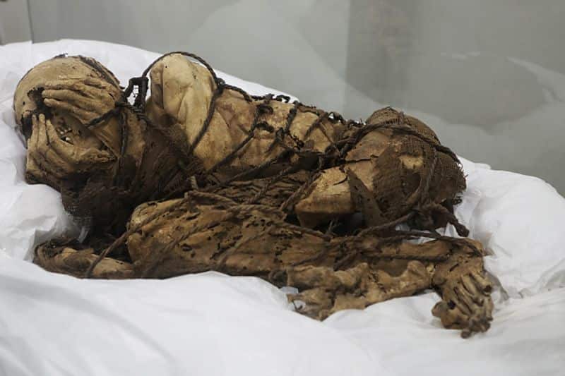 mummy of a teenager who lived 1200 years ago in Peru has been found bkg
