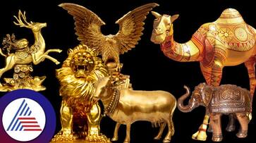 vastu tips these 6 idols to keep in pooja room for good luck in tamil mks vastu tips these 6 idols to keep in pooja room for good luck in tamil mks