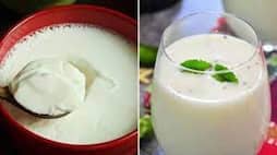 Curd or Butter milk Which Is Better to Consume in the Morning ram 