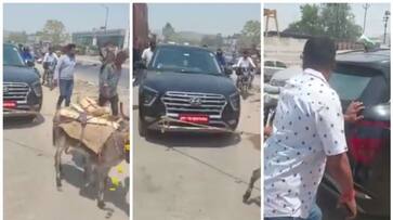 video of two donkeys pulling a Rs 17 5 lakh car goes viral bkg video of two donkeys pulling a Rs 17 5 lakh car goes viral bkg