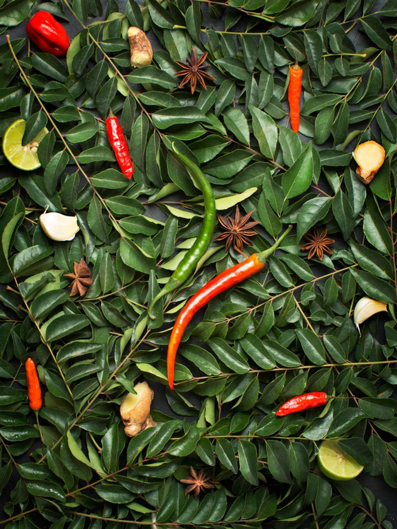 கறிவேப்பிலையின் பலமடங்கு நன்மைகள்! 