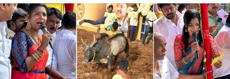 Thousands of bulls are participating in Jallikattu competition in Madurai