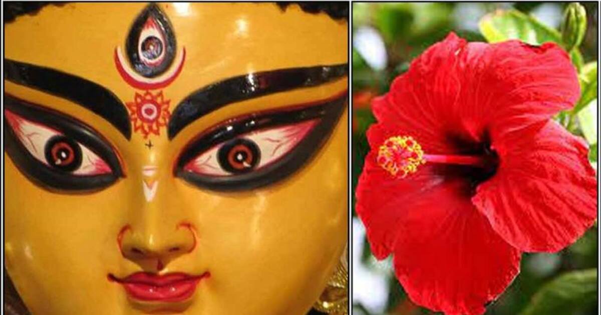 நம் பக்கத்திலே இருந்து நமக்கு பேராபத்தை ஏற்படுத்தும் எதிரிகளை அழிக்க இந்த செடியை வீட்டு வாசல்ல வளர்த்தா போதும்