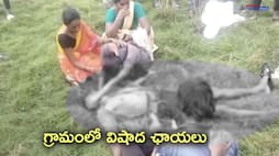 lightning strike kills a shepherd in peddapalli district