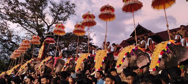 Thrissur Pooram on April 19: Everything you should know about India's largest temple festival anr