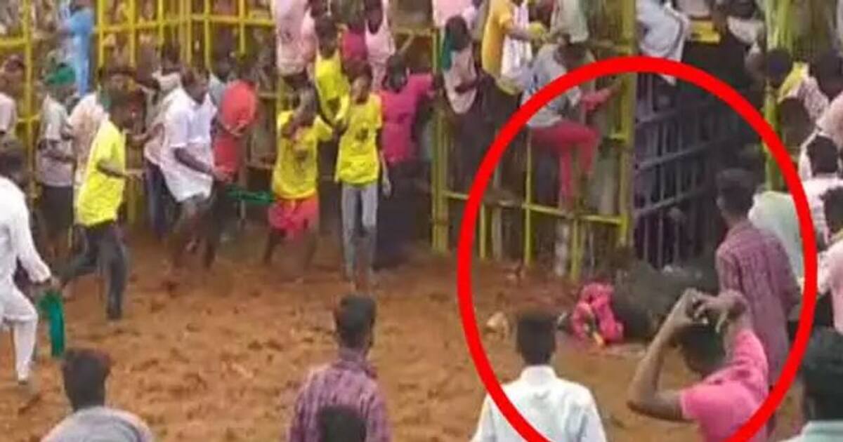 அட கடவுளே.. சீறிய போது வாடிவாசலில் மயங்கி விழுந்த சின்ன கொம்பன் காளை.. பதறிய விஜயபாஸ்கர்.. நடந்தது என்ன?