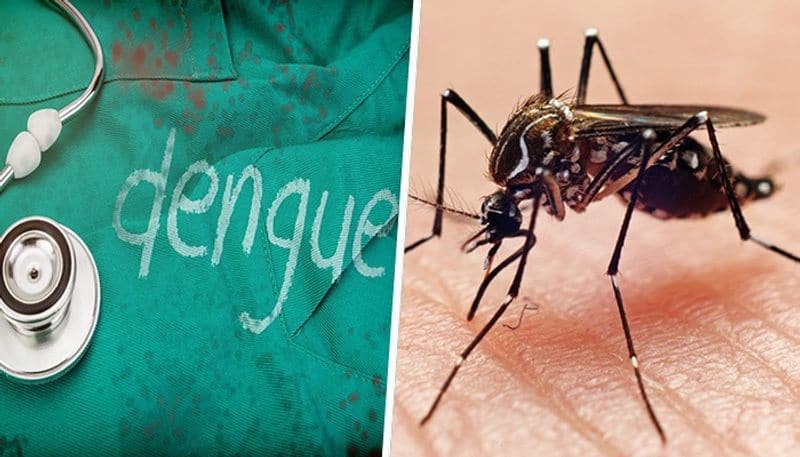 Health department to levy Rs 500 fine for acts leading to mosquito breeding sgb