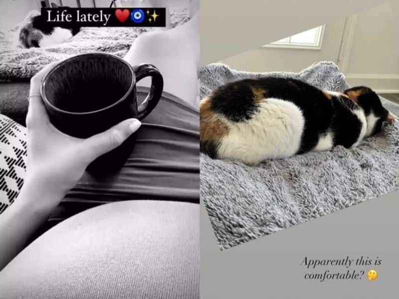 Ileana D'Cruz shows off her full-grown baby bump, but what is beside her? Is it dog or a cat-check out (Photo) RBA