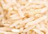 Congress anna bhagya free 10 kg rice suh