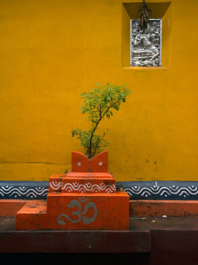 துளசியை இப்படி நட்டு வைத்தால் வீட்டில் செல்வம் குவியும்! 