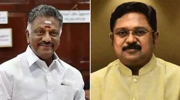 TTV Dhinakaran to contest in Parliamentary elections with OPS TTV Dhinakaran to contest in Parliamentary elections with OPS