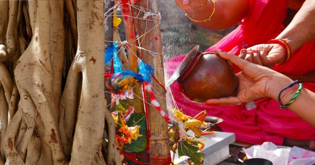 உங்க வீட்டுல பணமழை பொழியணுமா? இந்த ஒரு அதிசய மரத்தை மட்டும் நட்டு பாருங்க! 